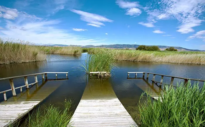 mudanzas daimiel