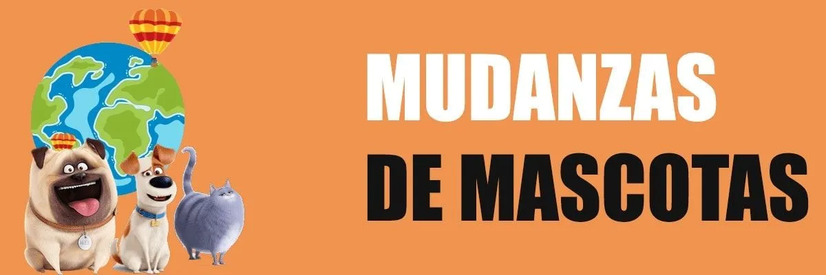 mudanzas-y-traslados-de-mascotas mudanzas-y-traslados-de-mascotas