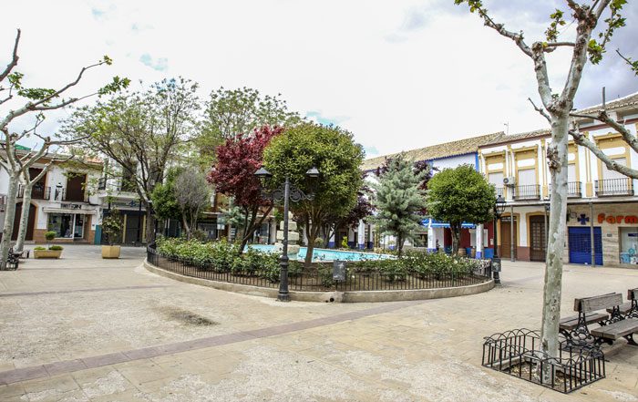 servicio mudanzas herencia baratas