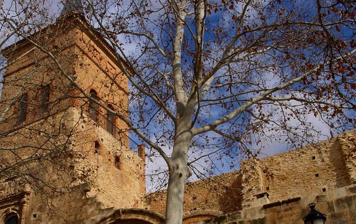 servicio mudanzas argamasilla de alba baratas