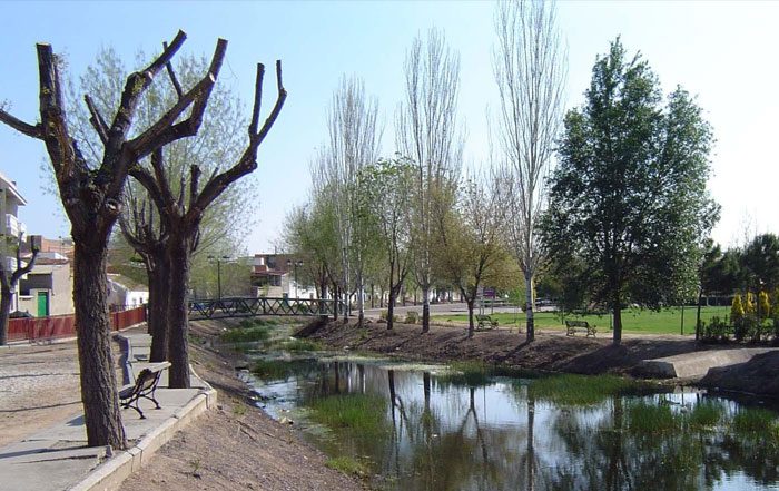 servicio mudanzas argamasilla de calatrava baratas